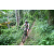 Team 13 / J2 - Epreuve VTT Langkawi