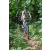 Team 53 / J2 - Epreuve VTT Langkawi