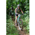 Team 12 / J2 - Epreuve VTT Langkawi