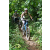 Team 59 / J2 - Epreuve VTT Langkawi