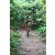 Team 67 / J2 - Epreuve VTT Langkawi