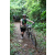 Team 85 / J2 - Epreuve VTT Langkawi