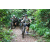 Team 60 / J2 - Epreuve VTT Langkawi