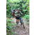 Team 51 / J2 - Epreuve VTT Langkawi