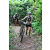 Team 77 / J2 - Epreuve VTT Langkawi