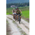Team 73 / J2 - Epreuve VTT Langkawi