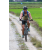 Team 52 / J2 - Epreuve VTT Langkawi