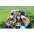Team 55 / J2 - Epreuve VTT Langkawi