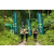 Team 05 / J3 - Epreuve Trek sur Langkawi