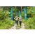 Team 36 / J3 - Epreuve Trek sur Langkawi