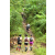 J3 - Epreuve Trek sur Langkawi