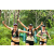 Team 39 / J3 - Epreuve Trek sur Langkawi