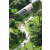 J3 - Epreuve Trek sur Langkawi