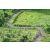 J3 - Epreuve Trek sur Langkawi