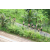 J3 - Epreuve Trek sur Langkawi