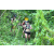 Team 17 / J3 - Epreuve Trek sur Langkawi