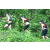 Team 17 / J3 - Epreuve Trek sur Langkawi