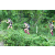 Team 48 / J3 - Epreuve Trek sur Langkawi