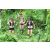 Team 39 / J3 - Epreuve Trek sur Langkawi