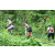 Team 68 / J3 - Epreuve Trek sur Langkawi