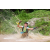 Team 55 / J3 - Epreuve Trek sur Langkawi