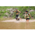 Team 57 / J3 - Epreuve Trek sur Langkawi