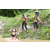 Team 81 / J3 - Epreuve Trek sur Langkawi