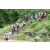 J3 - Epreuve Trek sur Langkawi