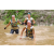 Team 64 / J3 - Epreuve Trek sur Langkawi