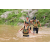 Team 38 / J3 - Epreuve Trek sur Langkawi