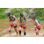 Team 82 / J3 - Epreuve Trek sur Langkawi