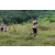 Team 85 / J3 - Epreuve Trek sur Langkawi