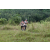 Team 14 / J3 - Epreuve Trek sur Langkawi