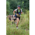 Team 55 / J3 - Epreuve Trek sur Langkawi