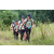 Team 02 / J3 - Epreuve Trek sur Langkawi