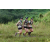 Team 60 / J3 - Epreuve Trek sur Langkawi