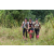 Team 73 / J3 - Epreuve Trek sur Langkawi