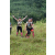 Team 73 / J3 - Epreuve Trek sur Langkawi