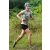 Team 01 / J3 - Epreuve Trek sur Langkawi