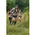 Team 81 / J3 - Epreuve Trek sur Langkawi