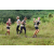 Team 54 / J3 - Epreuve Trek sur Langkawi