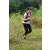 Team 38 / J3 - Epreuve Trek sur Langkawi