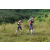 Team 86 / J3 - Epreuve Trek sur Langkawi