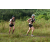 Team 63 / J3 - Epreuve Trek sur Langkawi