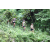 Team 01 / J3 - Epreuve Trek sur Langkawi