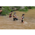 Team 78 / J3 - Epreuve Trek sur Langkawi