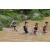 Team 79 / J3 - Epreuve Trek sur Langkawi
