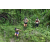 Team 68 / J3 - Epreuve Trek sur Langkawi