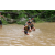 Team 63 / J3 - Epreuve Trek sur Langkawi