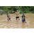 Team 03 / J3 - Epreuve Trek sur Langkawi